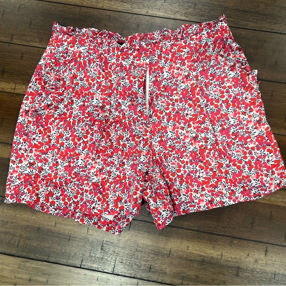 J Crew Shorts size 2